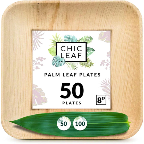 Square, Biodegradable Palm Leaf Party Plates (Bulk)