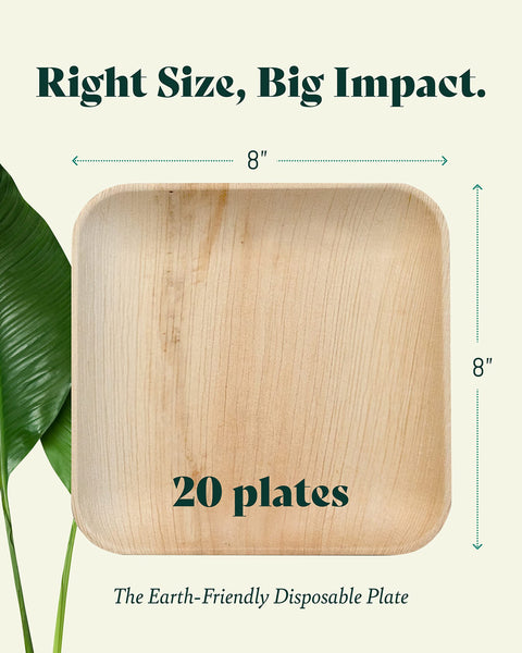 Square, Biodegradable Palm Leaf Party Plates (Bulk)
