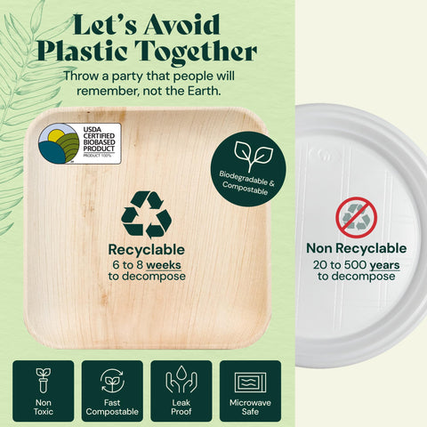 Square, Biodegradable Palm Leaf Plate (2-Set)