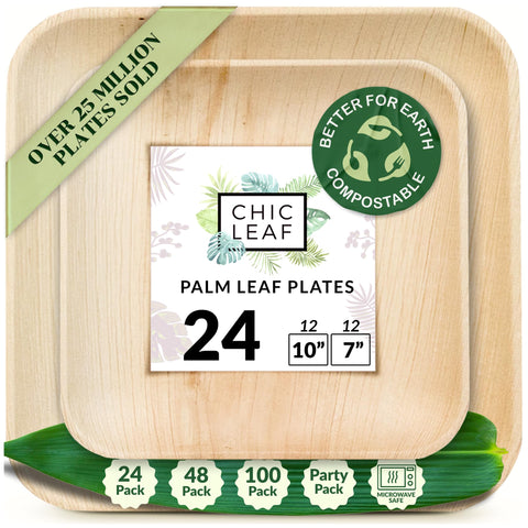 Square, Biodegradable Palm Leaf Plate (2-Set)
