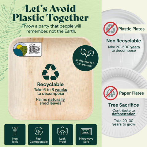 Square, Biodegradable Palm Leaf Plate (2-Set)