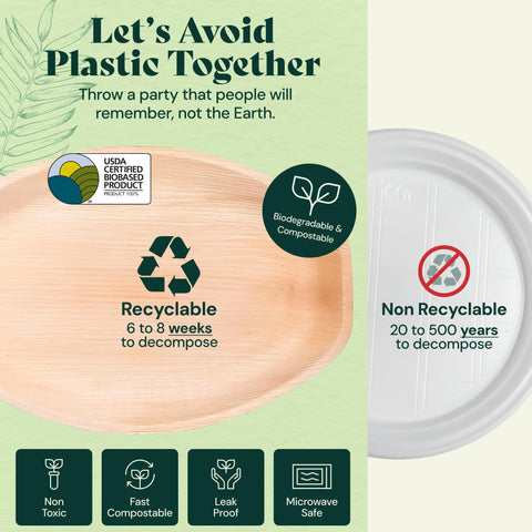 Palm Leaf Charcuterie Platters & Serving Trays