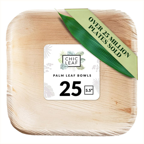 Compostable Palm Leaf Square Bowls for Parties