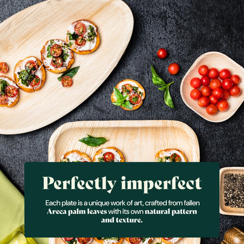 Round, Biodegradable Palm Leaf Party Plates (Bulk)