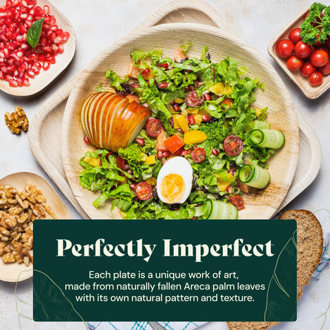 Round, Biodegradable Palm Leaf Party Plates (Bulk)