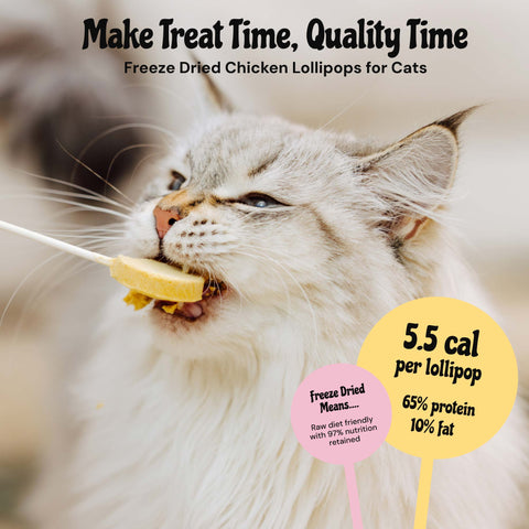 MalsiPree Pawlipop: Freeze-Dried Cat Lollipop Treats with Chicken (2-Pack)