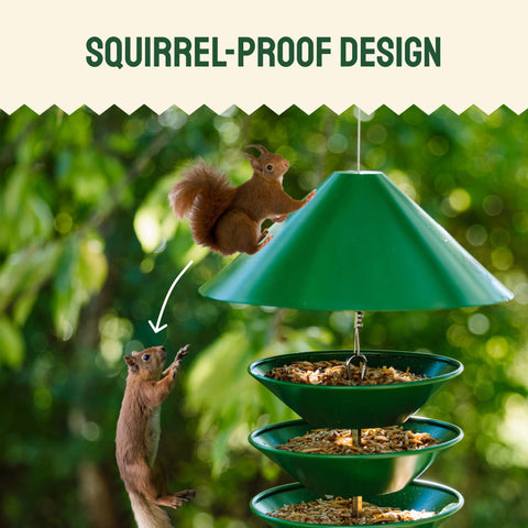 Metal Bird Feeder