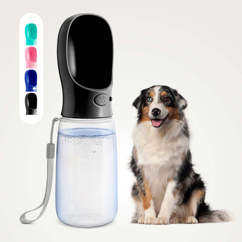 Dog Water Bottle With Bowl- 19oz