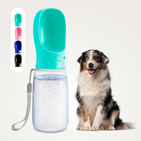 Dog Water Bottle With Bowl- 19oz