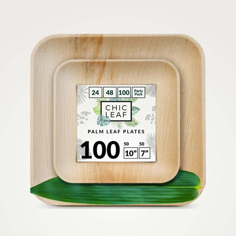 Palm Leaf Plates Bulk – 10" 7"