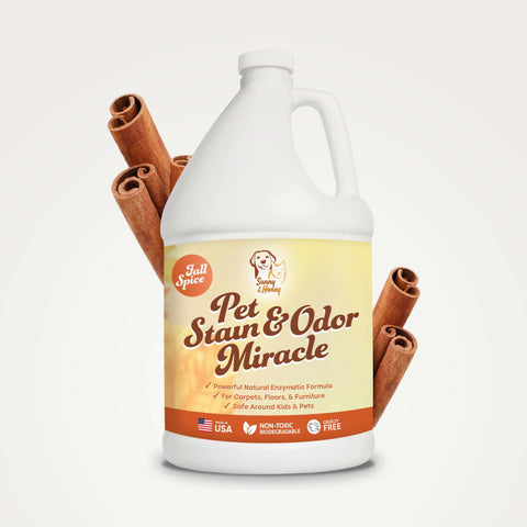 Pet Stain & Odor Remover 1 Gal