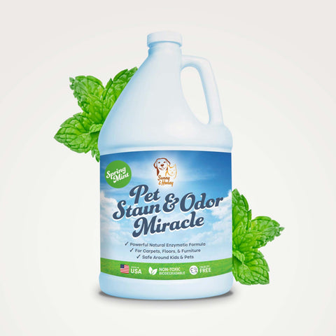 Pet Stain & Odor Remover 1 Gal