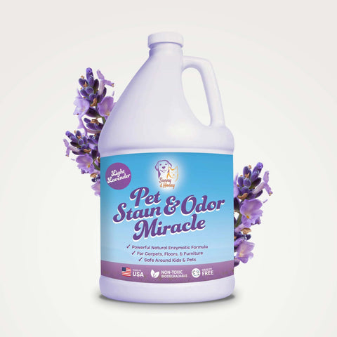 Pet Stain & Odor Remover 1 Gal