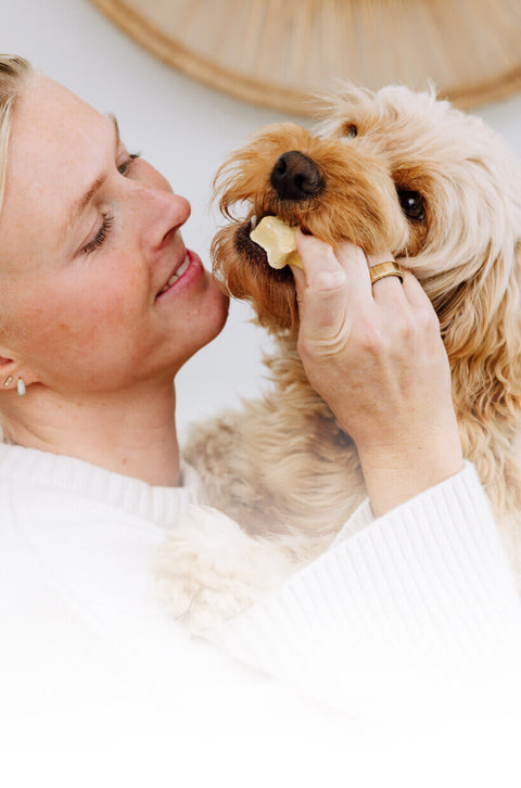 Woman feeding a dog a MalsiPree freeze-dried et treat.