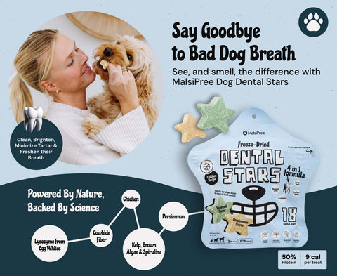 MalsiPree Dog Dental Stars: Freeze-Dried Treats for Bad Breath (4-Pack)