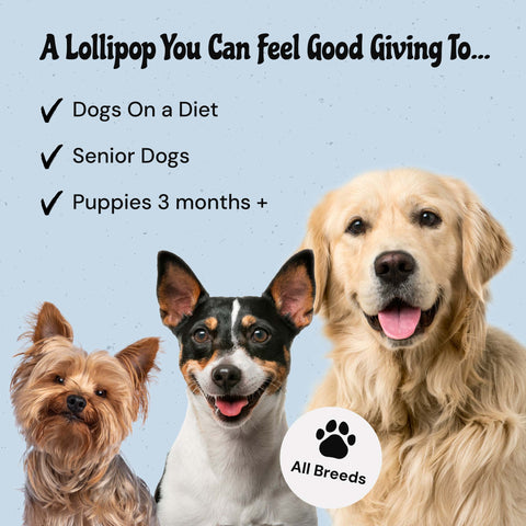 MalsiPree Pawlipop (8 Pcs): Freeze-Dried Dog Lollipop Treats for Training