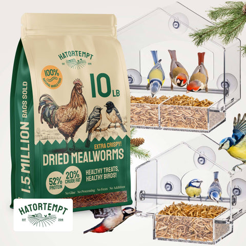 Hatortempt Window Bird Feeder 2- Pack + Mealworms 10lb Bundle