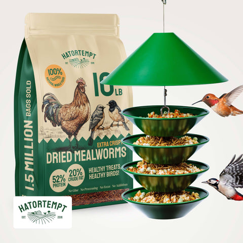 Hatortempt Metal Bird Feeder + Mealworms 10lb Bundle