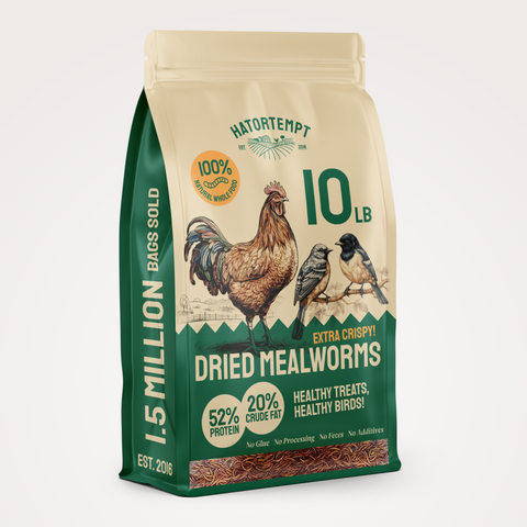 Hatortempt Organic Dried Mealworms For Chickens & Birds