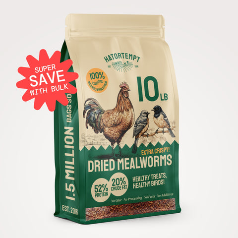 Hatortempt Organic Dried Mealworms For Chickens & Birds