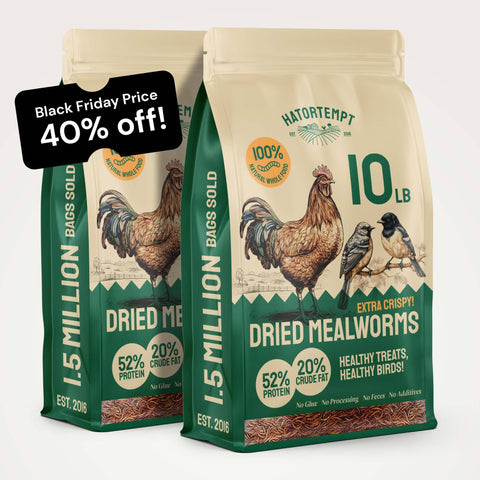 Organic Dried Mealworms For Chickens 10lb- 2-Pack