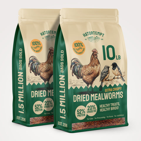 Hatortempt Organic Dried Mealworms For Chickens 20lb Bulk Bundle