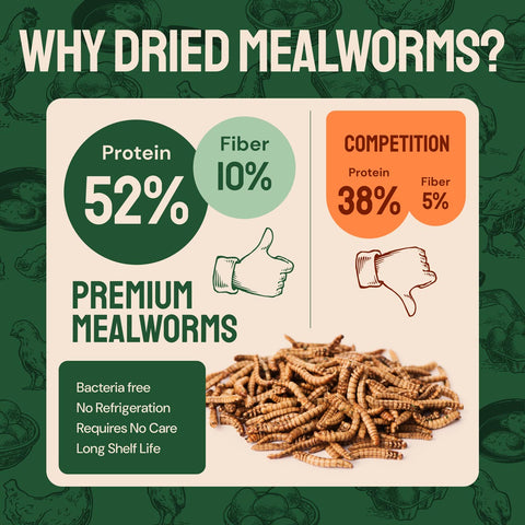 Hatortempt Organic Dried Mealworms For Chickens 40lb Bulk Bundle