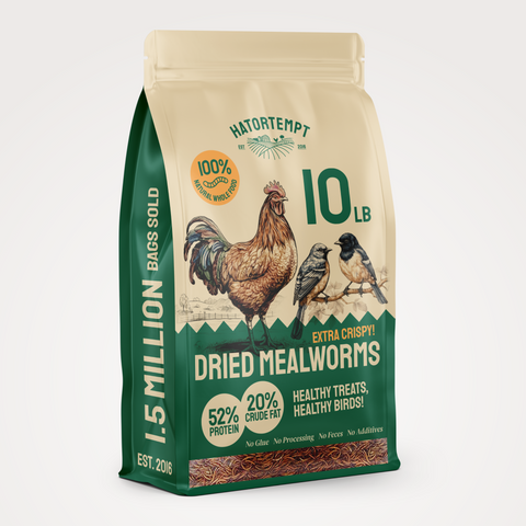 Dried Mealworms For Chickens & Birds