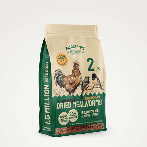 Dried Mealworms For Chickens & Birds