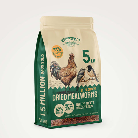 Dried Mealworms For Chickens & Birds