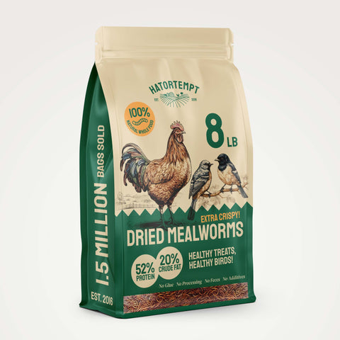 Dried Mealworms For Chickens & Birds