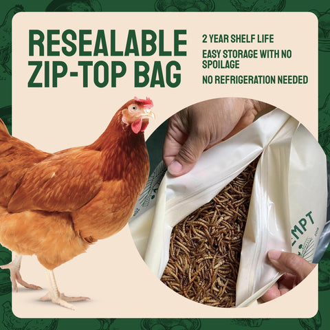 Dried Mealworms For Chickens & Birds