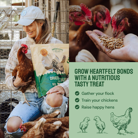 Dried Mealworms For Chickens & Birds