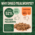 Dried Mealworms For Chickens & Birds