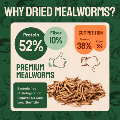 Dried Mealworms For Chickens & Birds
