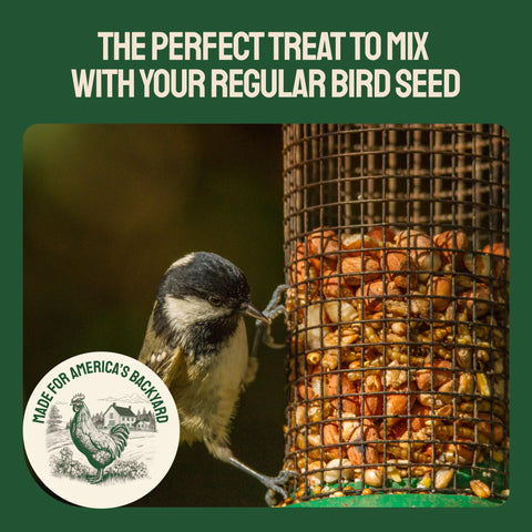 Dried Mealworms For Chickens & Birds
