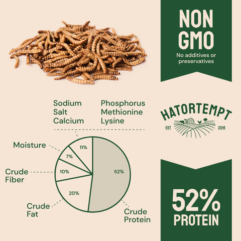 Dried Mealworms For Chickens & Birds