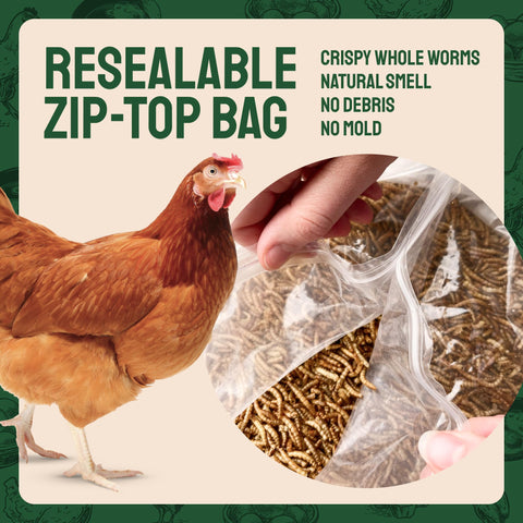 Dried Mealworms For Chickens & Birds