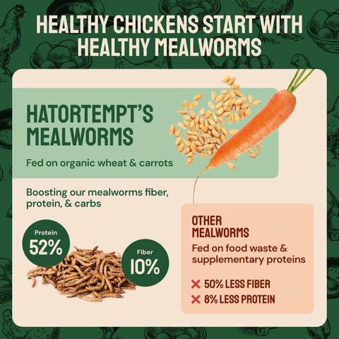 Dried Mealworms For Chickens & Birds