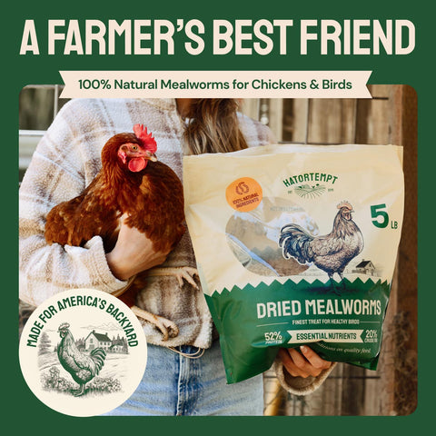 Hatortempt Organic Dried Mealworms For Chickens 40lb Bulk Bundle