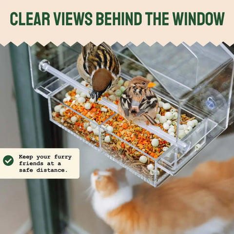 Clear acrylic bird feeder.