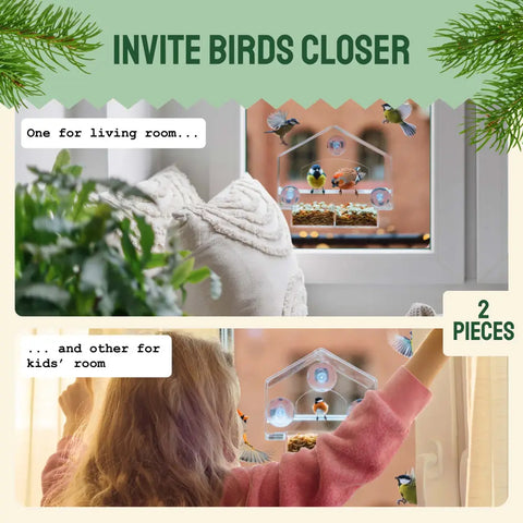 Window bird feeder.