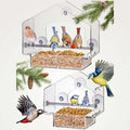 Transparent bird feeder with various birds.