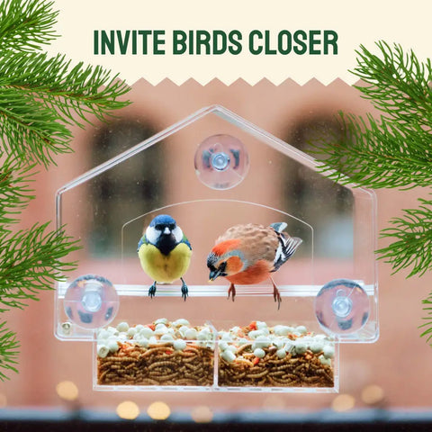 Clear bird feeder with two birds.