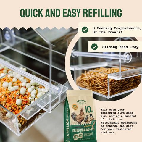 Clear acrylic bird feeder with mealworms.