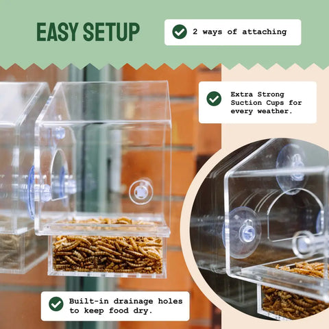 Clear acrylic bird feeder with suction cups.