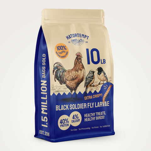 Bag of black soldier fly larvae bird treats.