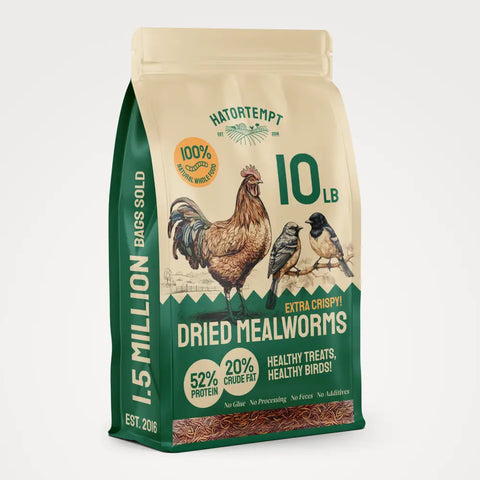 Bag of dried mealworms.