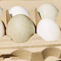 Eggs in Hatortempt's reusable cardboard carton with one large egg.