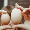 Two hands holding two eggs against a blurred background